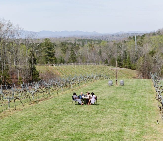 a group of women enjoying wine at a vineyard