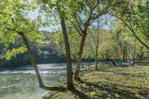 a river and trees with changing leaves