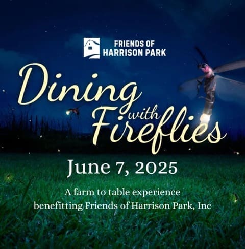 diningwithfireflies